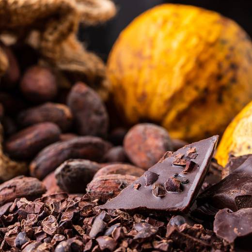 choco_aracao_cabosse